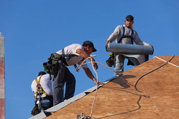 Best Metal Roofing Contractor  in Baywood Park, CA